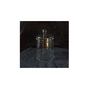 Glass Dome 1